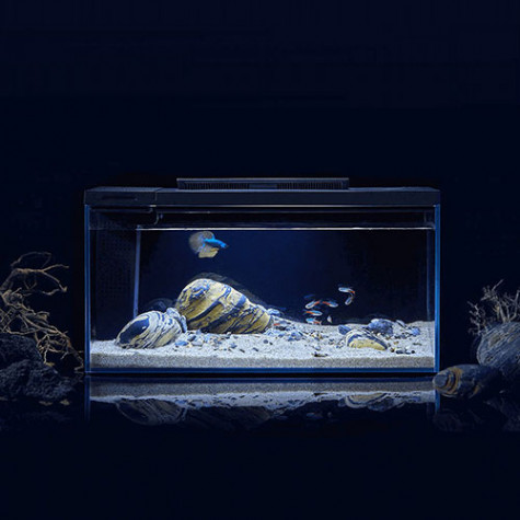 Petkit Smart Fish Tank